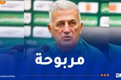 بيتكوفيتش يرفض المغامرة ويجدد ثقته في ركائز الخضر