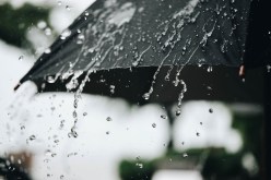 أمطار تصل إلى 40 ملم على هذه الولايات