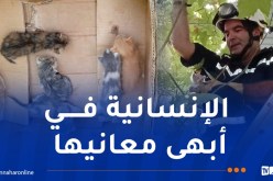 بالصور.. الحماية المدنية تنقذ قططا حديثي الولادة