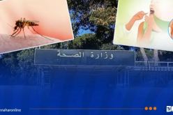 ظهور الدفتيريا والملاريا ببعض ولايات الجنوب .. وزارة الصحة تكذب ماتم تداوله   