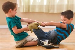 كيف تتصرفين عند شجار الأطفال بسبب الغيرة والعناد؟