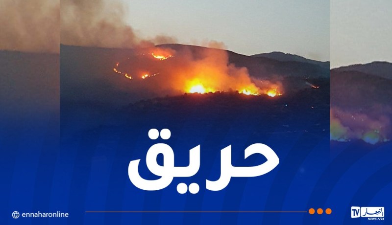 اندلاع حريق غابة في البويرة