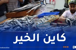 200 دج للكلغ.. تهاوي أسعار السردين