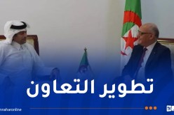 مباحثات جزائرية قطرية للتعاون في 3 مجالات