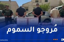 درك بجاية يُفكك شبكة إجرامية لترويج المؤثرات العقلية