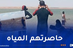 إنقاذ 9 جِمال حاصرتهم مياه الأمطار بتندوف