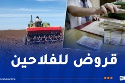 حملة الحرث والبذر.. بيان هام من الديوان المهني للحبوب