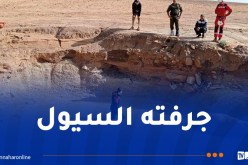 البحث عن شخص مفقود في المدية