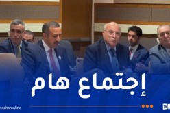 وزراء الخارجية العرب يجتمعون بنيويورك وهذا ما دار بينهم