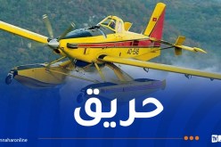 إندلاع حريق غابة بسيدي سميان في تيبازة