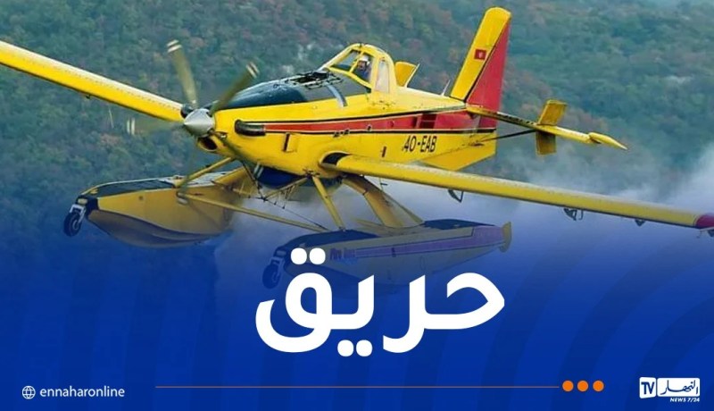 إندلاع حريق غابة بسيدي سميان في تيبازة