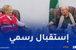 الرئيس الصحراوي يُشيد بالهلال الأحمر الجزائري