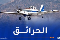 اندلاع عدة حرائق عبر هذه الولايات