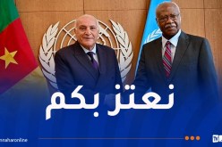 وزير الخارجية يتحادث مع رئيس الجمعية العامة للأمم المتحدة