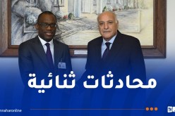 وزير الخارجية يتحادث مع نظرائه من عدة دول بنيويورك