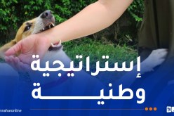 الجزائر قطعت أشواطا كبيرة لمكافحة داء الكلب