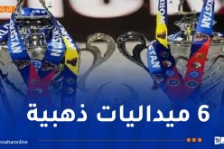 الجزائر تحصد 17 ميدالية في مونديال الكيك بوكسينغ