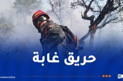 إندلاع حريق في غابة بمنطقة أييس في جيجل