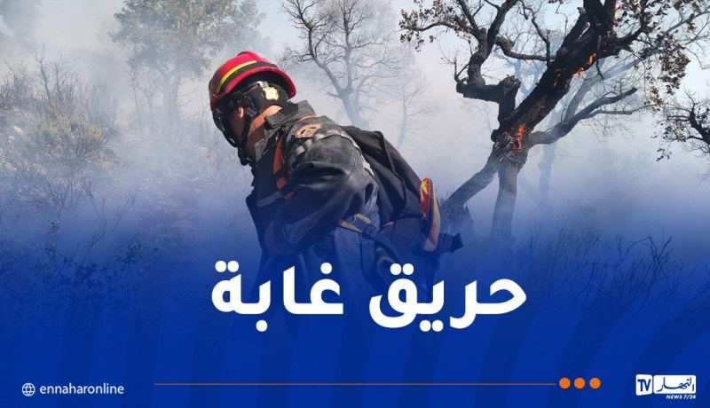 إندلاع حريق في غابة بمنطقة أييس في جيجل