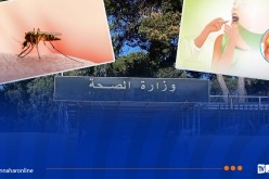 بيان هام حول الملاريا والدفتيريا في الجزائر