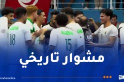 المنتخب الوطني لكرة اليد يقتنص المركز الثالث في البطولة الإفريقية من نظيره المغربي