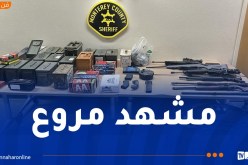 اعتقال أمريكي بعد قتله 81 حيوانًا في جوف الليل