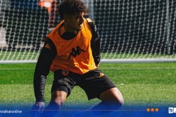 مدرب هال سيتي يتحدث عن عودة بلومي للمنافسة الرسمية