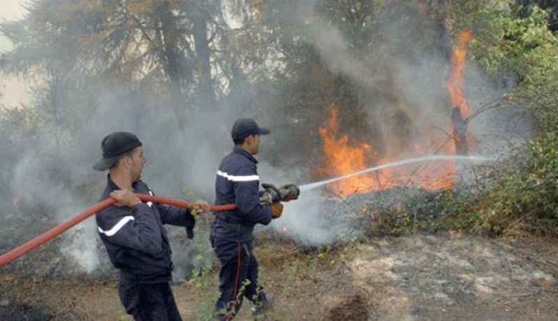 تسجيل حرائق الغابات، الأدغال والأحراش عبر 6 ولايات