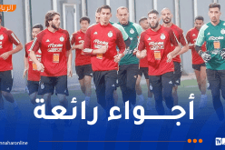 بالصور.. لاعبو الخضر يجرون أول حصة تدريبية بسيدي موسى