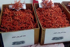 عنابة: حجز قرابة 19 كلغ من المرجان بالبوني 