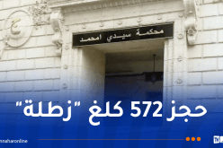 إيداع 7 أشخاص الحبس ووضع 3 تحت الرقابة القضائية ضمن شبكة إجرامية لاستيراد المخدرات