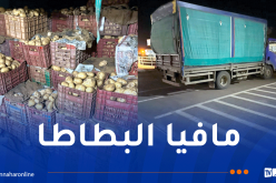 كانت موجهة للمضاربة.. حجز أزيد من 82 قنطاراً بطاطا في عين الدفلى