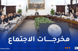أهم قرارات اجتماع مجلس الوزراء