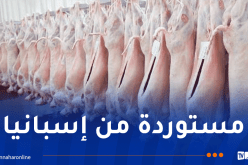 “ألفيار” تعلن استلام دفعة جديدة من لحوم الأغنام الطازجة