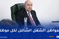 اليقظة حول الندرة.. الرئيس تبون يحذر المسؤولين.. إستفيقوا ويجب تحديد المسؤوليات