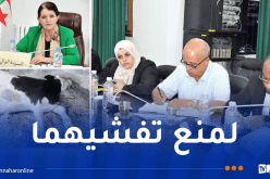 سكيكدة.. إجراءات وقائية للقضاء على مرض التهاب الجلد العقدي وفيروس حمى غرب النيل