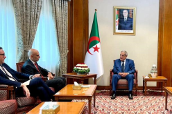 الجزائر وإيطاليا يتعاونان في مجال الحفاظ على التراث الأثري