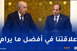 الرئيس تبون: نطمح لتعزيز التعاون بالمجال الطاقوي والاستعانة بالخبرات المصرية في السكن