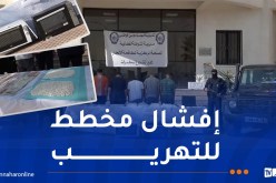 SCLTIS تُفشل إدخال 85 ألف قرص مهلوس مُموهة داخل أجهزة كهرومنزلية
