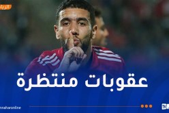 أول رد فعل من إدارة الأهلي بعد تصريحات قندوسي