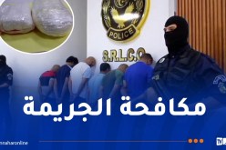 قسنطينة: الإطاحة بشبكة لترويج المخدرات وحجز قرابة 2 كلغ من الكوكايين