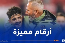 هال سيتي الانجليزي يتغنى بإحصائيات بلومي