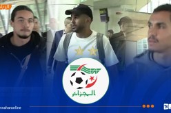 بالفيديو.. نجوم الخضر يتوافدون تباعا تحسبا للمواجهة المزدوجة أمام الطوغو