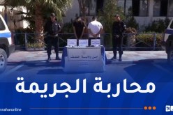 الشلف: توقيف مُروّجي الكوكايين والمهلوسات وحجز كمية معتبرة