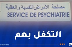 وزير الداخلية: منح تسخيرات لنقل المختلين عقليا إلى المصحات العقلية