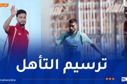 بالصور.. الخضر يجرون آخر حصة بالجزائر ويغادرون نحو الطوغو