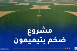 هذا هو تاريخ الشروع في إنتاج الحبوب من طرف الإيطاليين