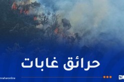لا خطر على السكان.. إندلاع عدة حرائق بجيجل