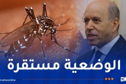 سايحي: عدد الإصابات بالملاريا تراجعت إلى 3 حالات والدفتيريا إلى حالتين