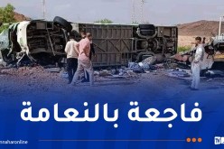 وفاة 3 أشخاص وإصابة 15 آخرين في حادث بالنعامة